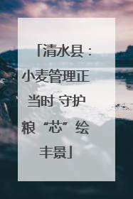 清水县：小麦管理正当时 守护粮“芯”绘丰景